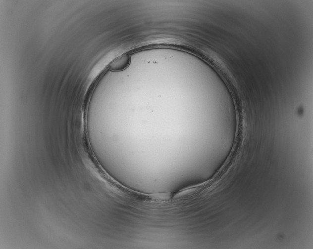 X0000116301274200912211854