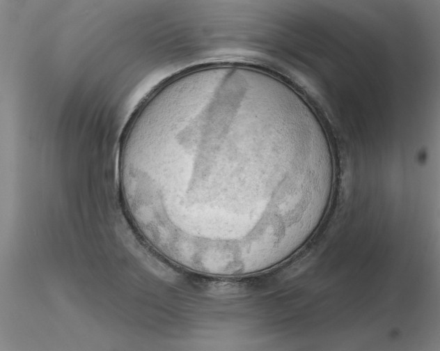 X0000116301275200912211854