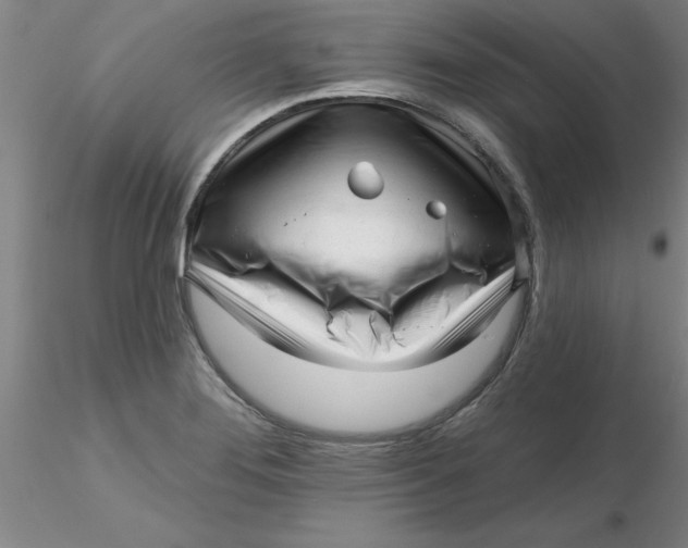 X0000116301276200912211854