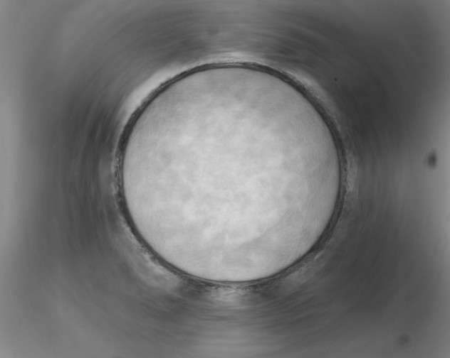 X0000116301278200912211854