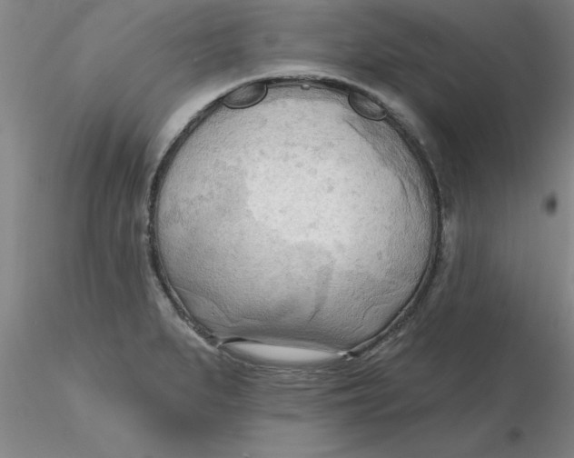 X0000116301279200912211854