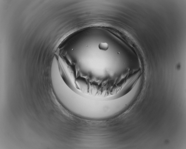 X0000116301281200912211854