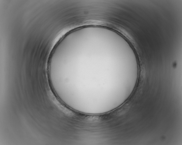 X0000116301283200912211854