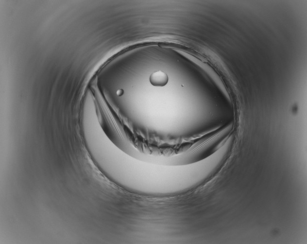 X0000116301284200912211854