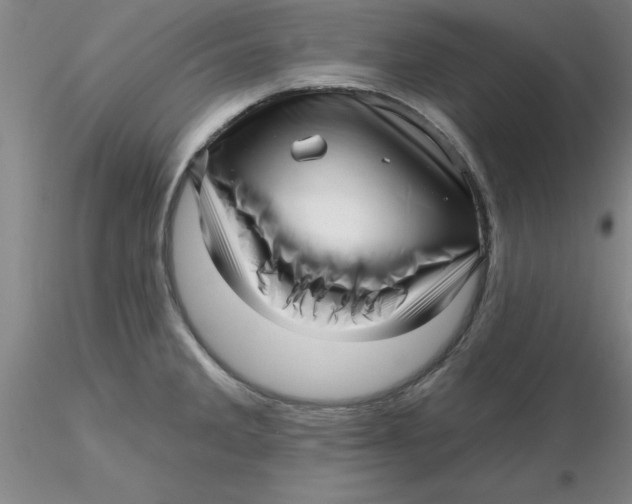 X0000116301285200912211854