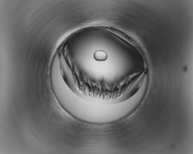 X0000116301288200912211854