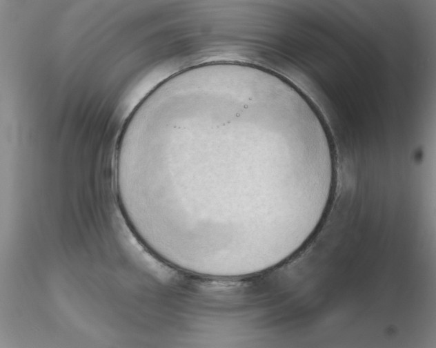 X0000116301290200912211854