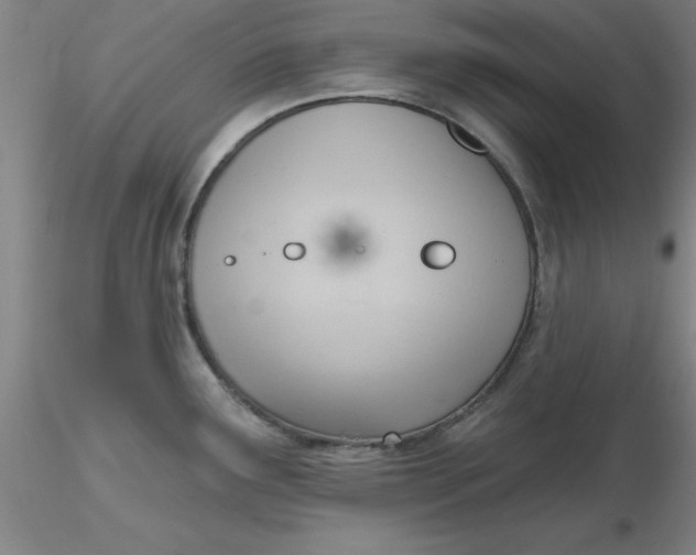 X0000116301291200912211854