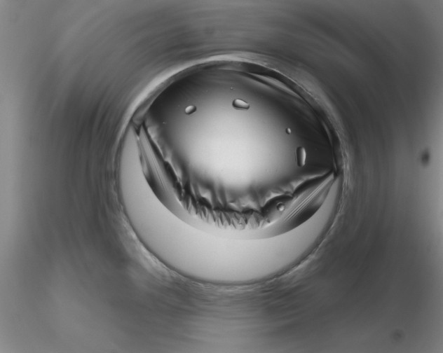 X0000116301292200912211854