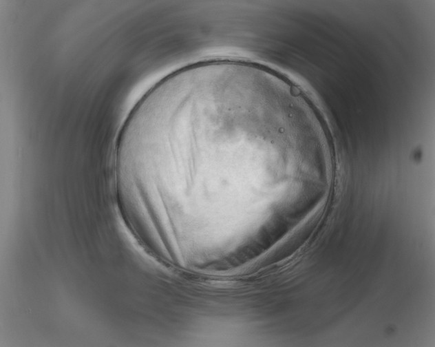 X0000116301295200912211853