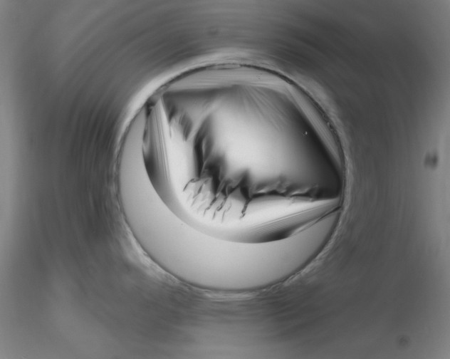 X0000116301296200912211853