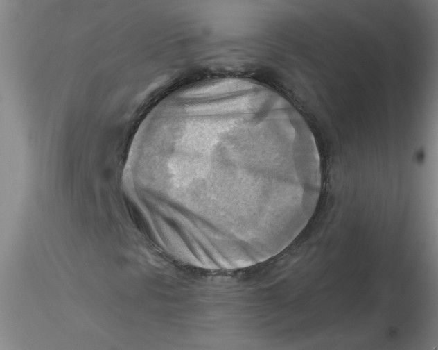 X0000116301297200912211853