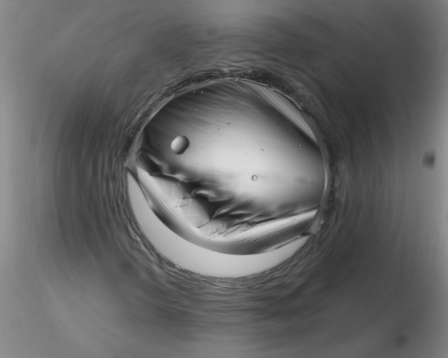 X0000116301298200912211853