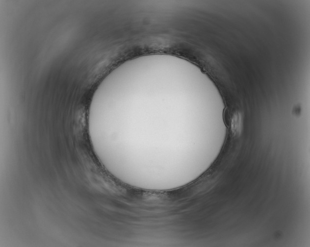 X0000116301299200912211853