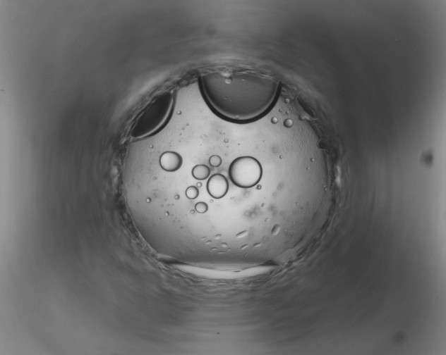 X0000116301302200912211853