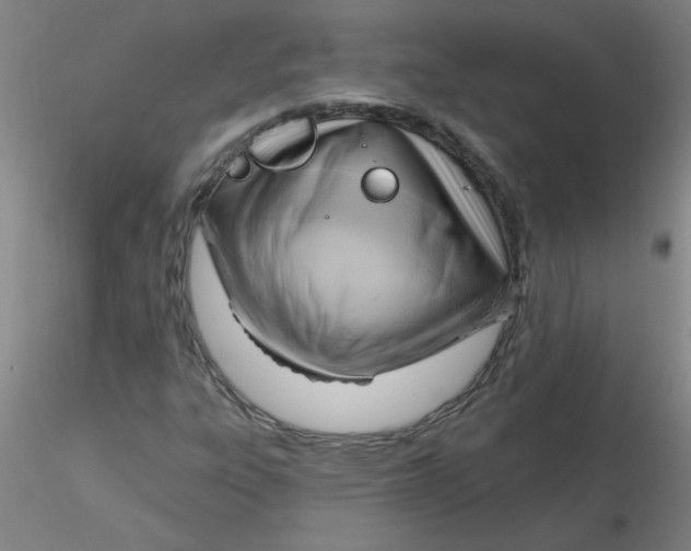 X0000116301303200912211853