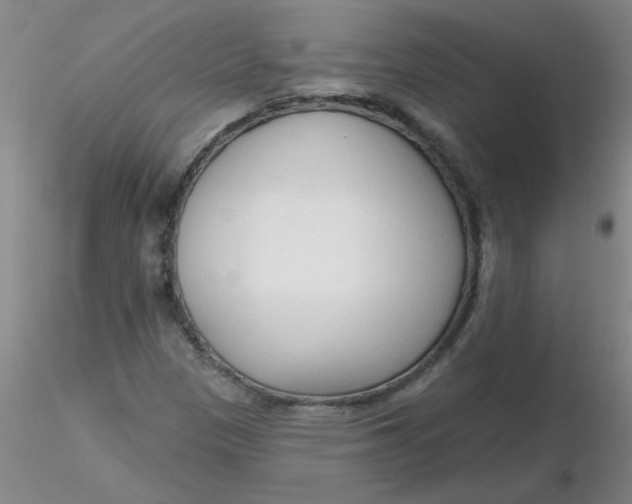 X0000116301305200912211853