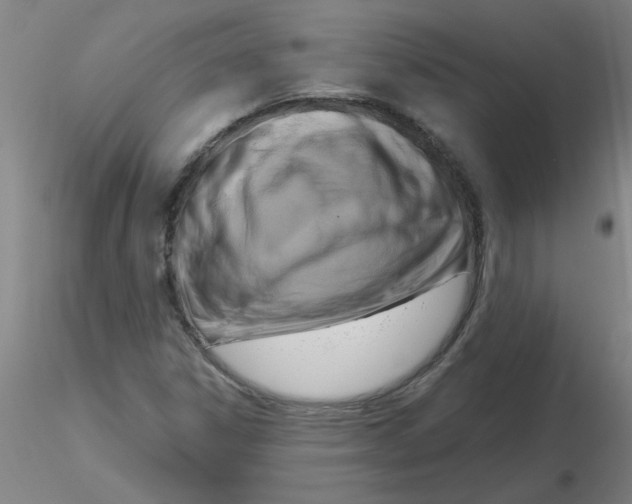 X0000116301306200912211853