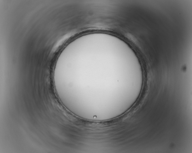 X0000116301307200912211853