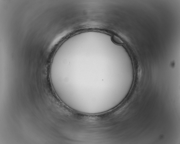 X0000116301309200912211853