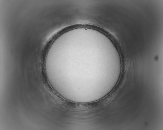 X0000116301311200912211853