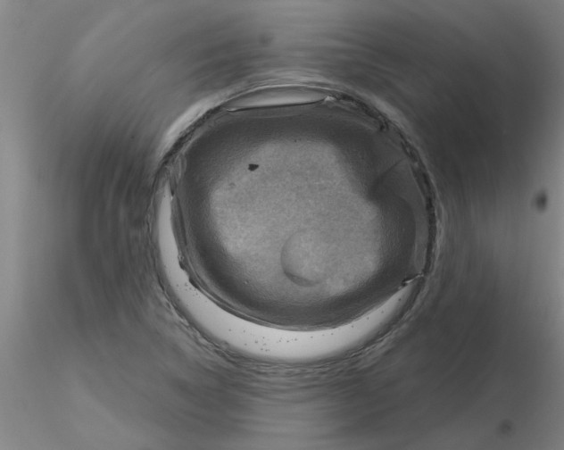 X0000116301314200912211853