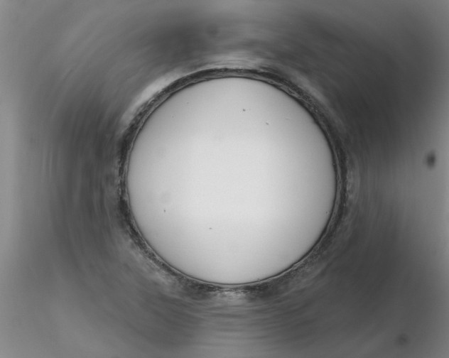 X0000116301315200912211853