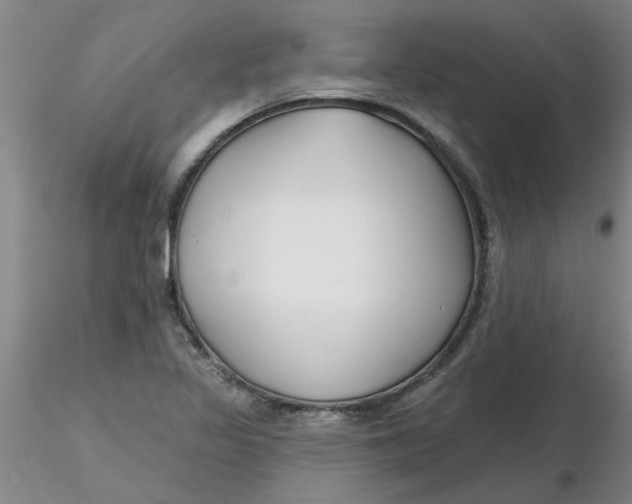 X0000116301317200912211853