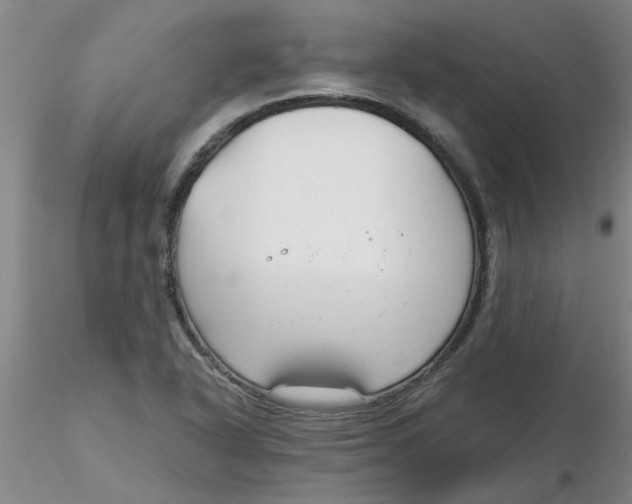 X0000116301318200912211853