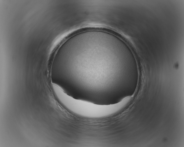 X0000116301319200912211853