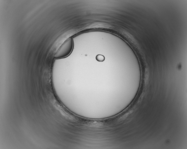 X0000116301321200912211853