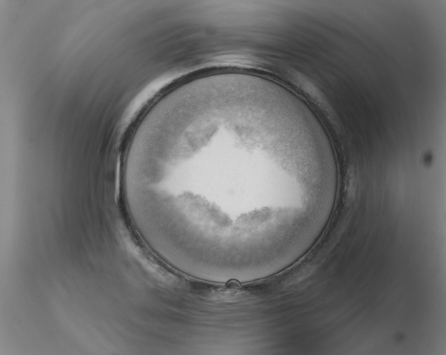 X0000116301323200912211853