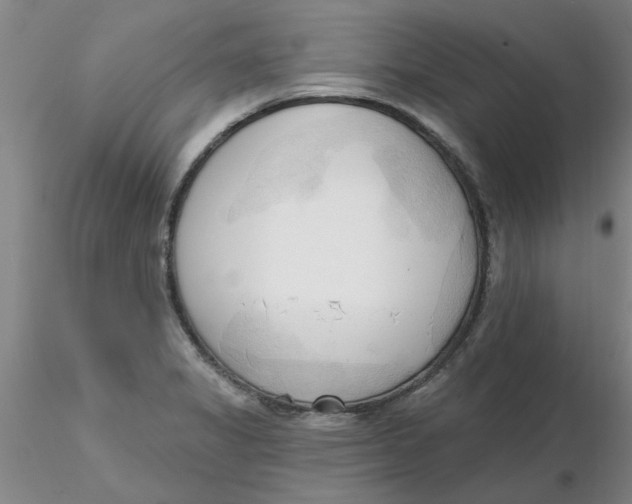 X0000116301325200912211853