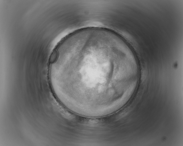 X0000116301326200912211853