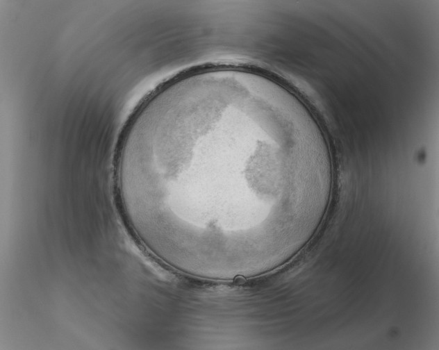 X0000116301327200912211853