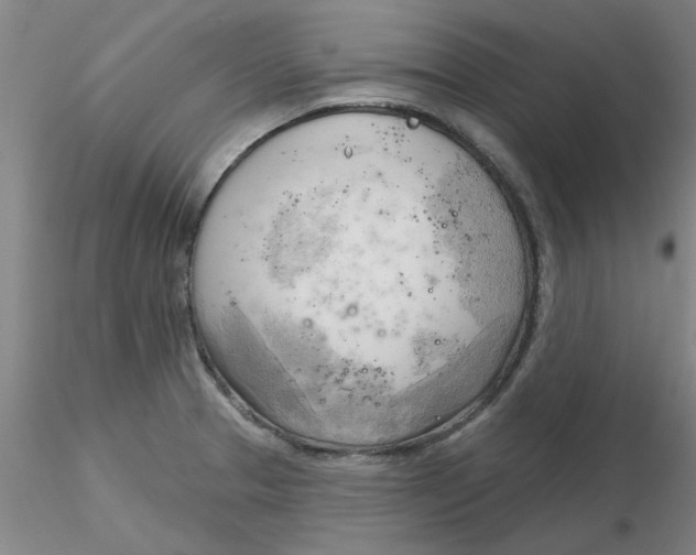 X0000116301329200912211853