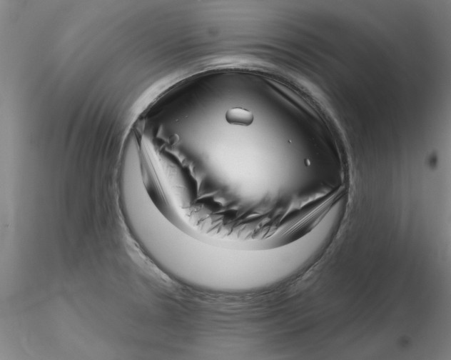 X0000116301330200912211853