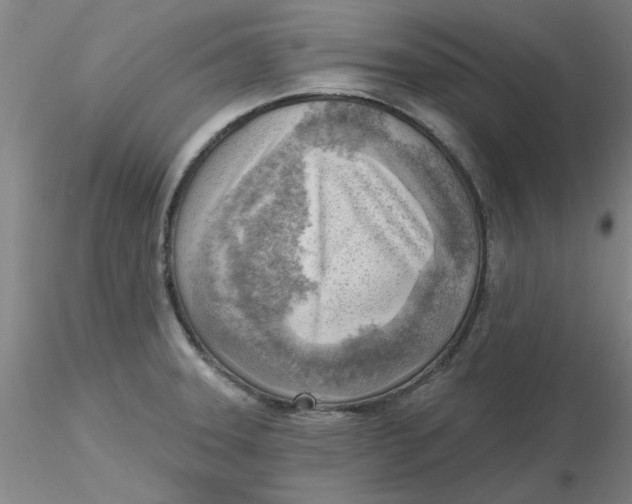 X0000116301331200912211853