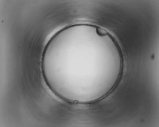 X0000116301333200912211853