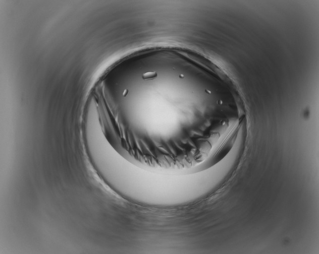 X0000116301334200912211853