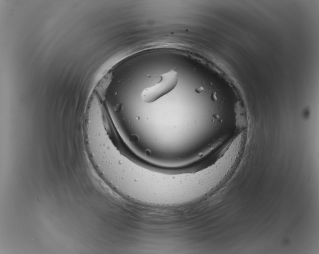 X0000116301338200912211853