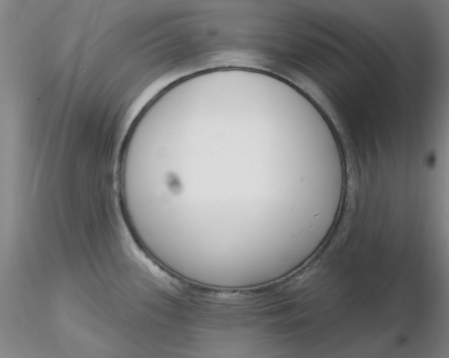 X0000116301339200912211853