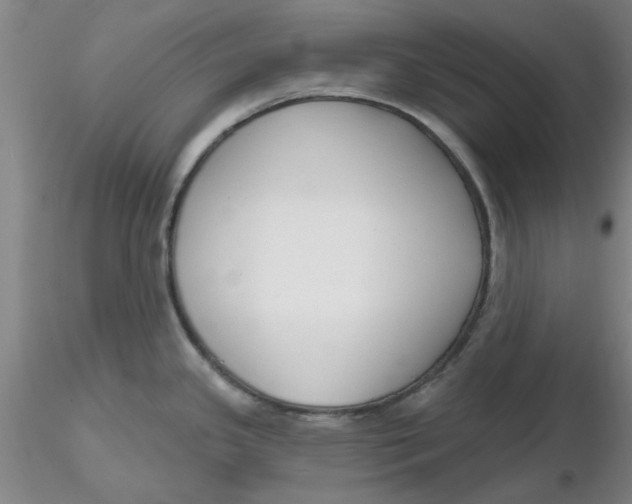 X0000116301341200912211853