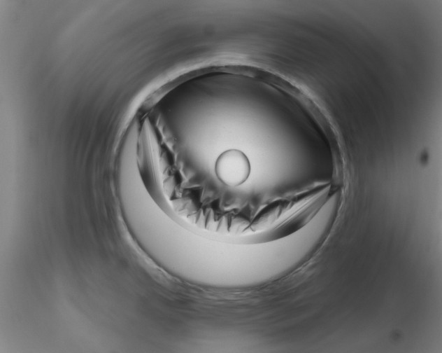 X0000116301342200912211853