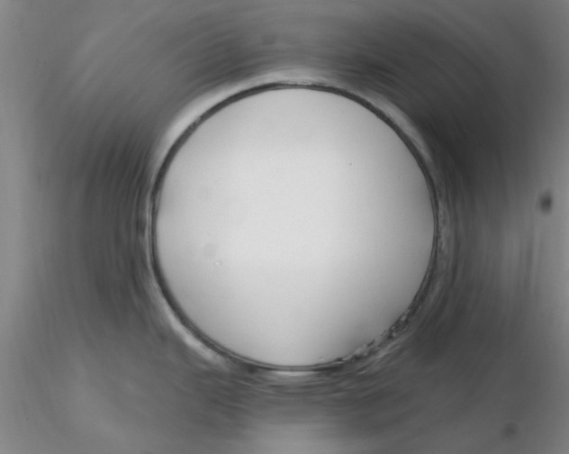 X0000116301343200912211853