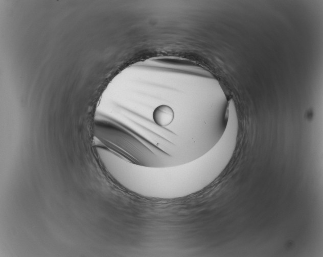 X0000116301345200912211853