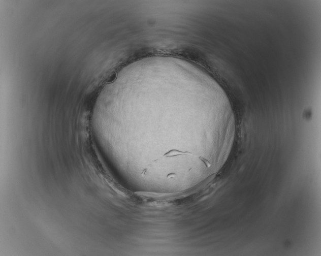 X0000116301346200912211853