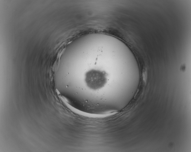 X0000116301347200912211853