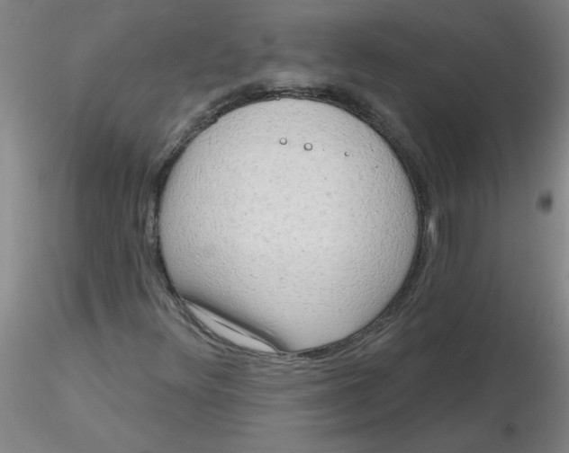 X0000116301348200912211853