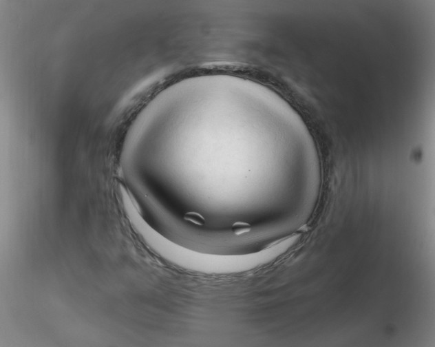 X0000116301351200912211853